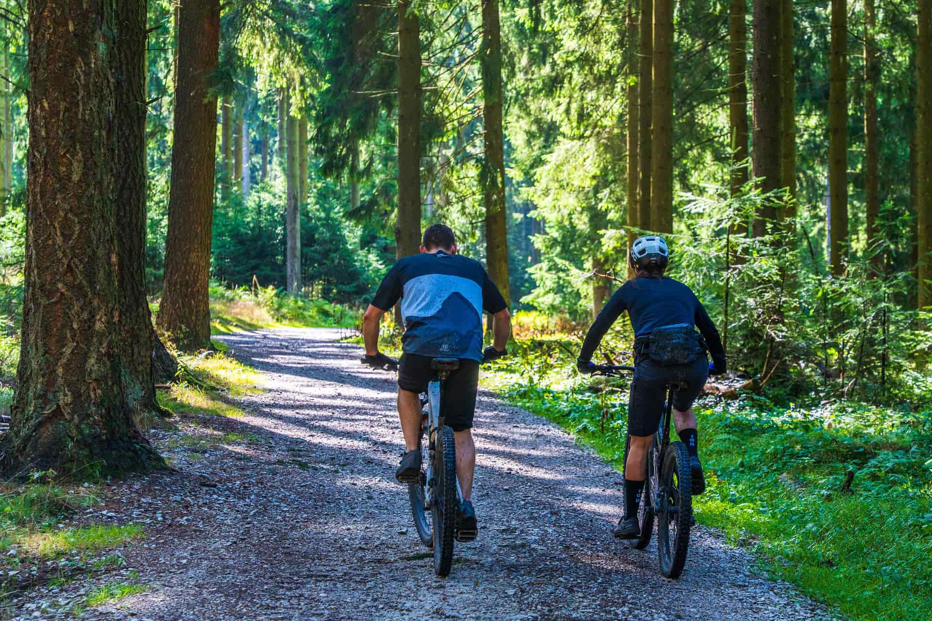 Two cyclists riding mountain bikes along a forest trail