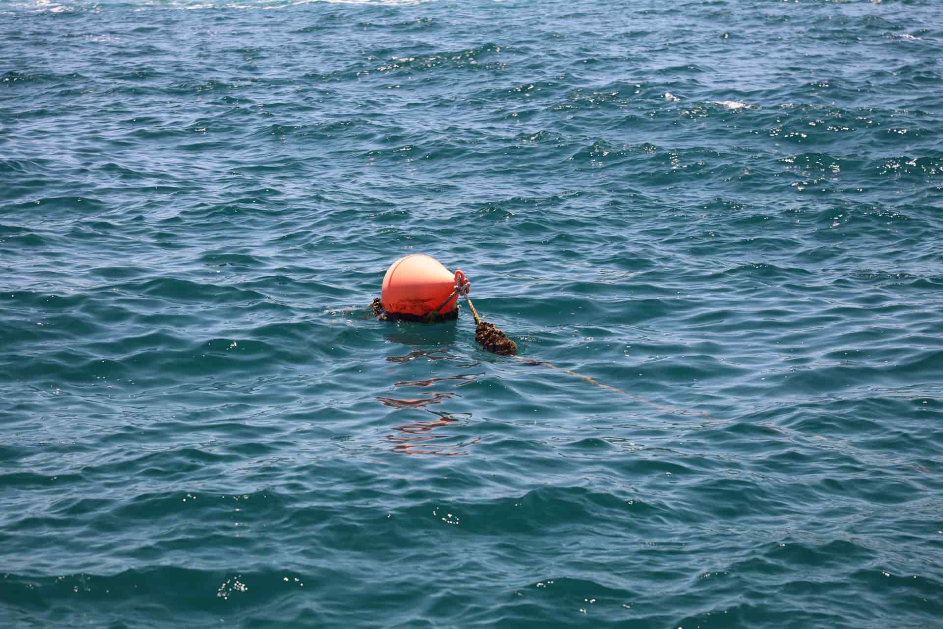 A bright orange buoy floating on open water